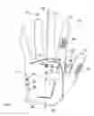 Fig. 03 - Golf grip training glove
