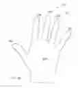 Fig. 15 - Golf grip training glove