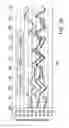 Fig. 26 - Golf club