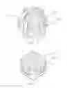 Fig. 04 - Playing object having a bounce with limited unpredictability