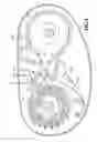 Fig. 04 - Bicycle gear mechanism