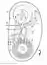 Fig. 05 - Bicycle gear mechanism