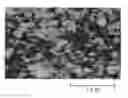 Fig. 01 - Exhaust gas-purifying catalyst