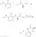 Fig. 13 - METHODS FOR IDENTIFYING COMPOUNDS OF INTEREST USING ENCODED LIBRARIES