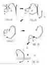 Fig. 03 - Multiplexed identification of nucleic acid sequences