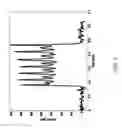 Fig. 06 - Multiplexed identification of nucleic acid sequences