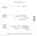 Fig. 06 - Method for quantification of small RNA species