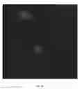 Fig. 09 - POLYMERIZATION-BASED AMPLIFICATION FOR IMMUNOSTAINING AND BIODETECTION