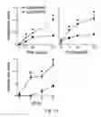 Fig. 19 - Methods for predicting and treating tumors resistant to drug, immunotherapy and radiation