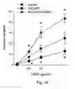 Fig. 25 - Methods for predicting and treating tumors resistant to drug, immunotherapy and radiation