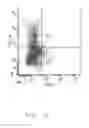 Fig. 17 - Compositions and methods for identifying enzyme and transport protein inhibitors