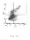 Fig. 18 - Compositions and methods for identifying enzyme and transport protein inhibitors