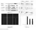 Fig. 24 - Compositions and methods for identifying enzyme and transport protein inhibitors