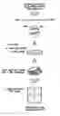 Fig. 01 - METHODS FOR LARGE SCALE FUNCTIONAL EVALUATION OF NUCLEOTIDE SEQUENCES IN PLANTS