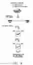 Fig. 02 - METHODS FOR LARGE SCALE FUNCTIONAL EVALUATION OF NUCLEOTIDE SEQUENCES IN PLANTS
