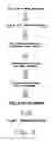 Fig. 04 - METHODS FOR LARGE SCALE FUNCTIONAL EVALUATION OF NUCLEOTIDE SEQUENCES IN PLANTS