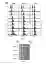 Fig. 04 - Anti-aging agents and methods to identify them