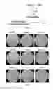 Fig. 09 - Anti-aging agents and methods to identify them