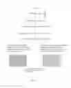 Fig. 19 - Anti-aging agents and methods to identify them