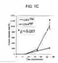 Fig. 03 - Tumor-initiating cells and methods for using same
