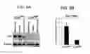 Fig. 10 - Tumor-initiating cells and methods for using same