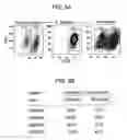 Fig. 14 - Tumor-initiating cells and methods for using same