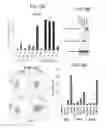 Fig. 15 - Tumor-initiating cells and methods for using same