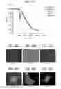 Fig. 40 - Label free biosensors and cells