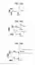 Fig. 70 - Label free biosensors and cells