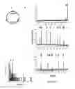 Fig. 10 - APPARATUS AND METHOD FOR PERFORMING NUCLEIC ACID ANALYSIS