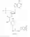 Fig. 16 - APPARATUS AND METHOD FOR PERFORMING NUCLEIC ACID ANALYSIS