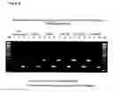 Fig. 07 - NORMALIZED NUCLEIC ACID LIBRARIES AND METHODS OF PRODUCTION THEREOF