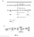 Fig. 06 - METHODS AND SYSTEMS FOR UNIFORM ENRICHMENT OF GENOMIC REGIONS