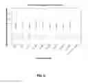 Fig. 08 - METHODS AND SYSTEMS FOR UNIFORM ENRICHMENT OF GENOMIC REGIONS
