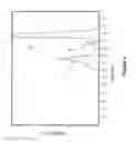 Fig. 05 - Purified extended polymerase/template complex for sequencing