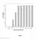 Fig. 06 - Alkaline shock-based method of processing a biological sample