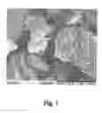 Fig. 02 - LIQUID CLEANING COMPOSITION