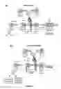 Fig. 09 - Mutant CyaA polypeptides and polypeptide derivatives suitable for the delivery of immunogenic molecules into a cell