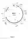 Fig. 14 - Mutant CyaA polypeptides and polypeptide derivatives suitable for the delivery of immunogenic molecules into a cell