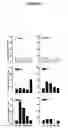 Fig. 05 - Polypeptides and use thereof