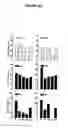 Fig. 06 - Polypeptides and use thereof