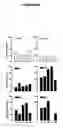 Fig. 11 - Polypeptides and use thereof