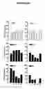 Fig. 12 - Polypeptides and use thereof