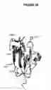 Fig. 21 - Polypeptides and use thereof