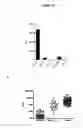 Fig. 22 - Polypeptides and use thereof