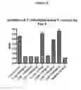 Fig. 08 - Method of treatment of bacterial infection by administration of poly-lysine