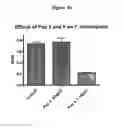 Fig. 09 - Method of treatment of bacterial infection by administration of poly-lysine