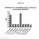 Fig. 13 - Method of treatment of bacterial infection by administration of poly-lysine