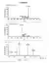 Fig. 02 - Sulfation of Wnt pathway proteins