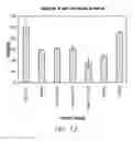 Fig. 14 - Sulfation of Wnt pathway proteins
